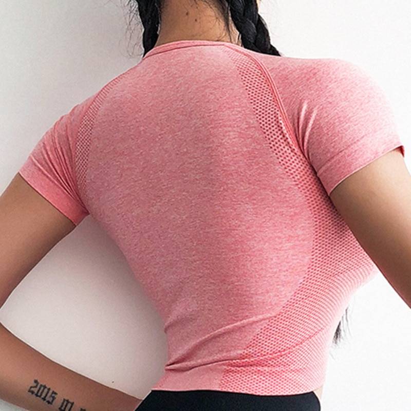 Women's Cropped Seamless Short Sleeves Sport T-Shirt Sports Tops & T-Shirts Women Sport Clothing Color : Pink|Purple|Dark Grey 