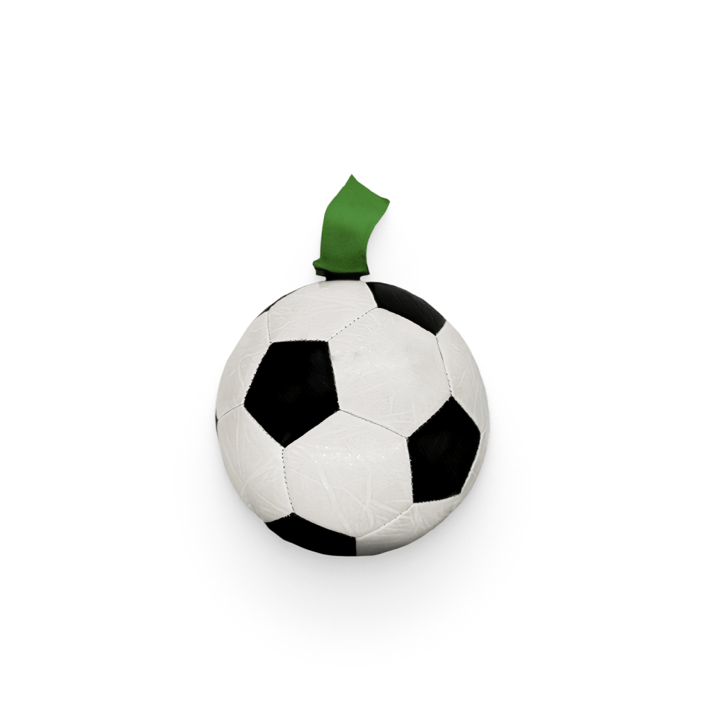 Dog Soccer Ball Toy Outdoors  